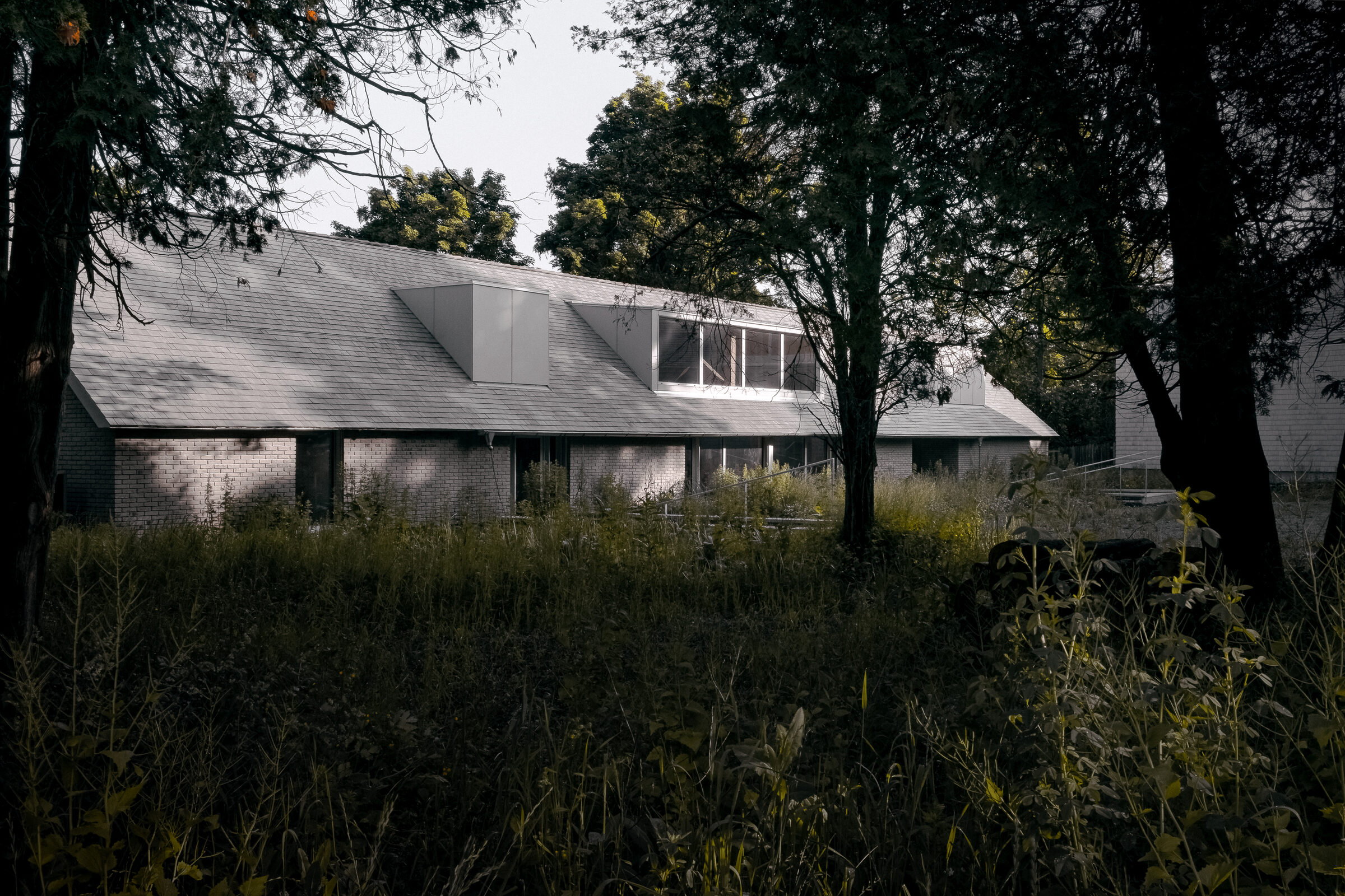 Exterior through trees, daylight